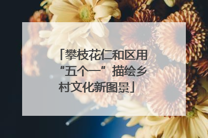 攀枝花仁和区用“五个一”描绘乡村文化新图景